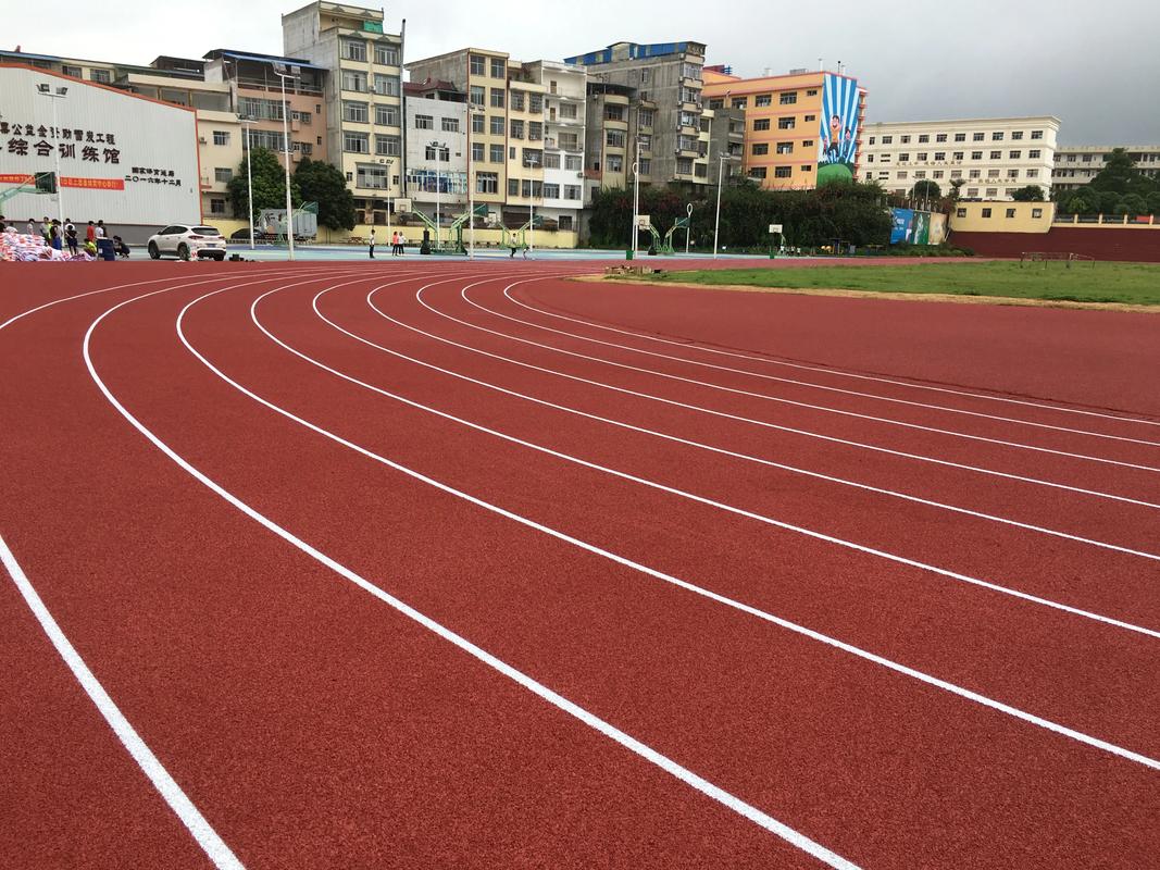咸宁市学校塑胶跑道塑胶跑道材料 - 排名
